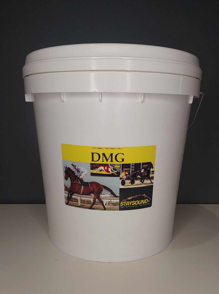 DMG POWDER 9KG
