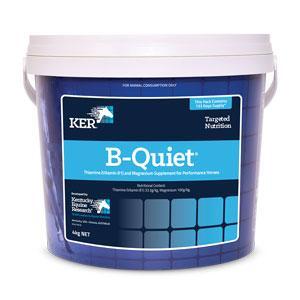 B QUIET EQUIVIT 4KG