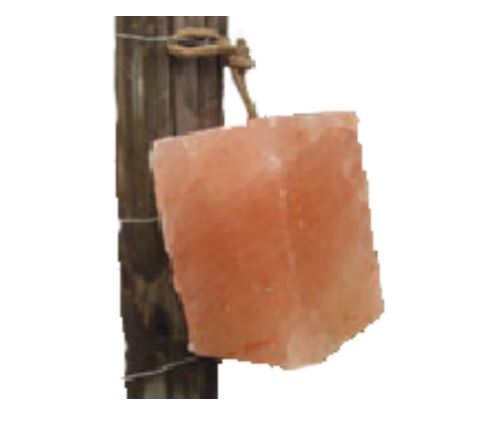 SALT BLOCK HIMALAYAN W/ROPE 3-4KG
