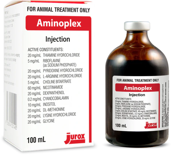 AMINOPLEX 100ML
