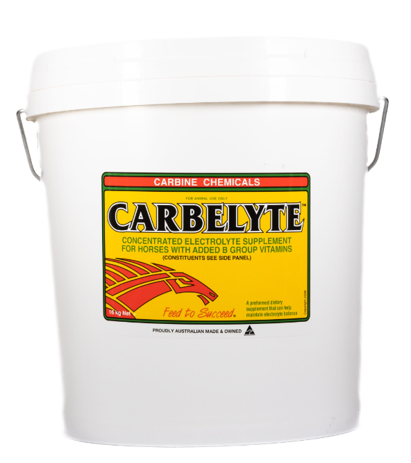 CARBELYTE 16KG