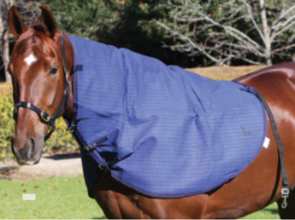 NECKRUG CANVAS BLUE MOUNTAIN (COB)