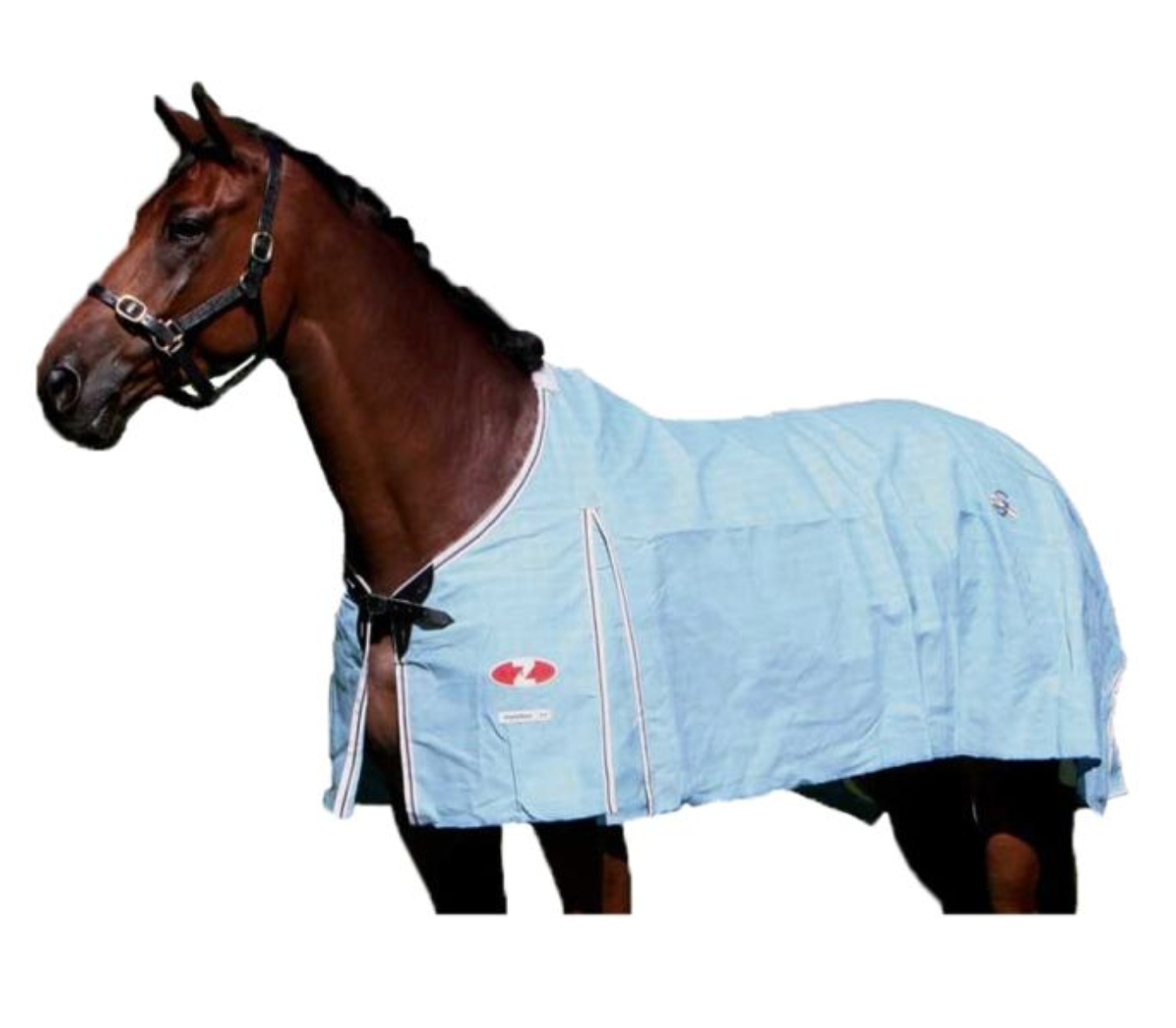 RUG CANVAS HAMILTON 5'9