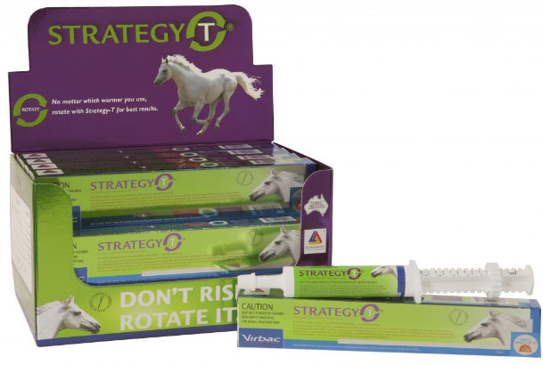 STRATEGY-T 37.8GM (BX 15)