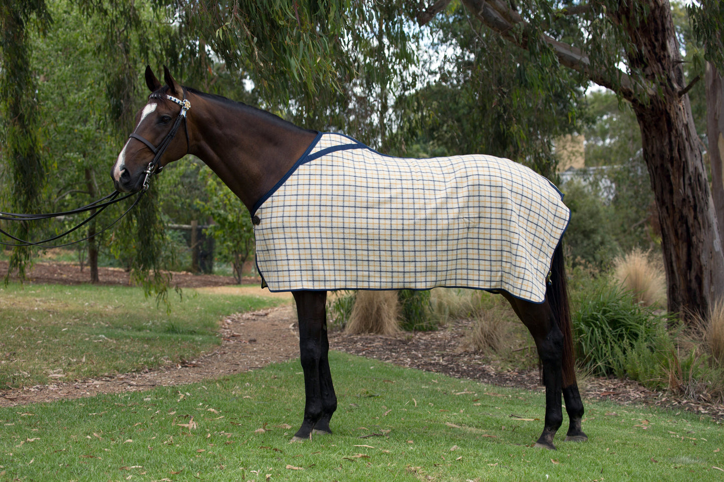 RUG KERSEY DRESS LEG STRAPS 6'3