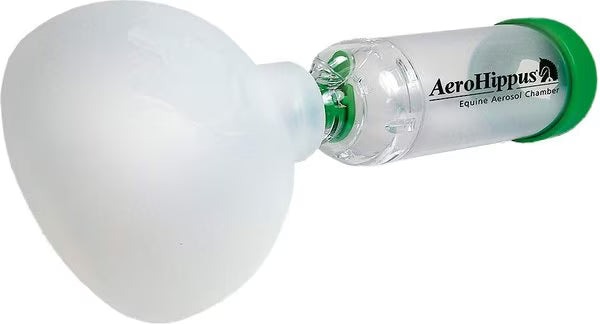 AEROHIPPUS