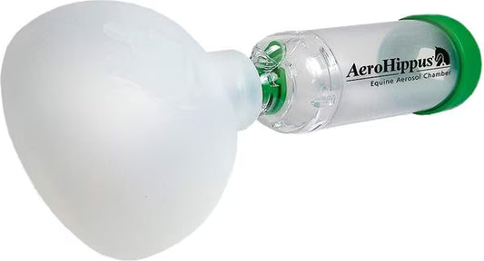 AEROHIPPUS