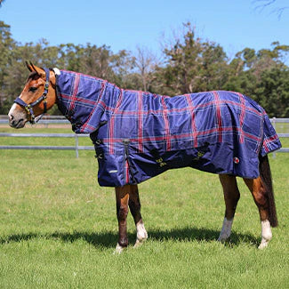 RUG DOONA CRUSADER200 COMBO 6'0