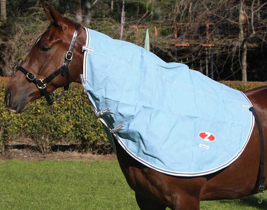 NECKRUG CANVAS HAMILTON (FULL)