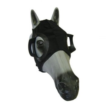 BLINKERS/VISORS LYC CE HYLAND (L)