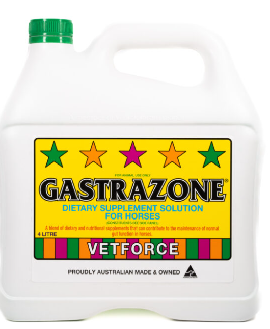 GASTRO ZONE 16LT