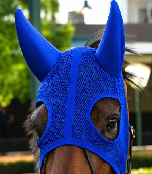 EARMUFFS MESH PSR CE (M-RYL)