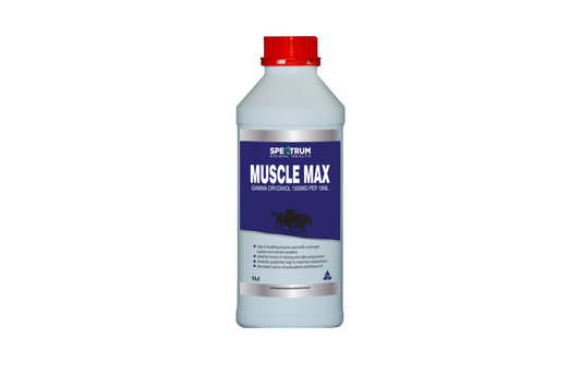 MUSCLE MAX 1LT
