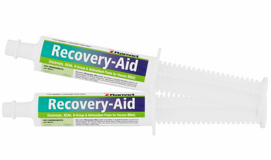 RECOVERY AID PASTE 80ML (EACH)