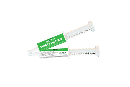 ELECTROLYTE B PASTE 60ML