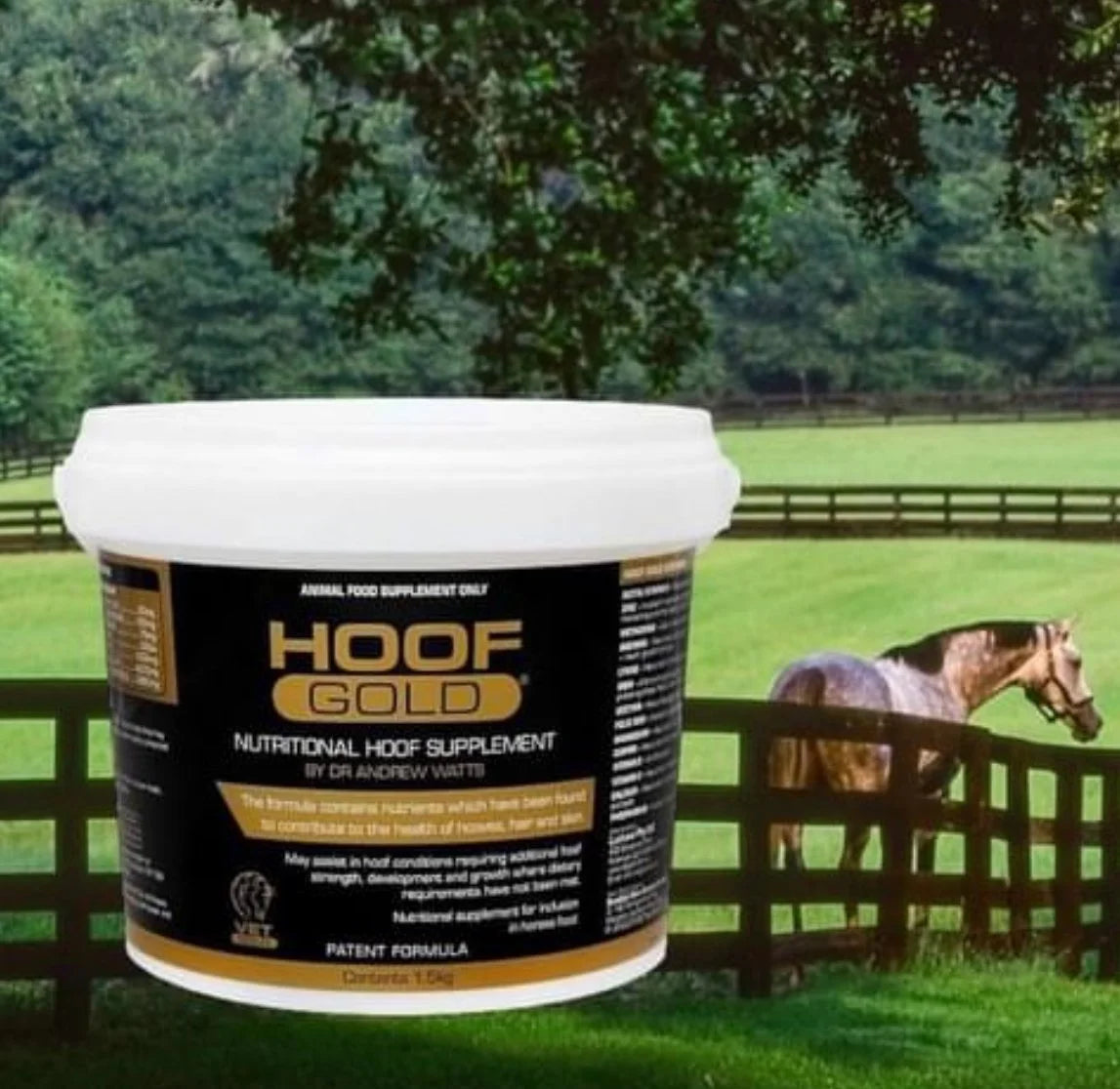 HOOF GOLD 6KG