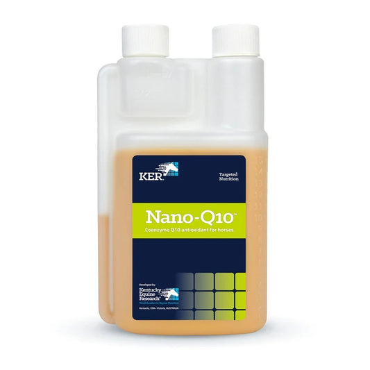 NANO-Q10 450ML