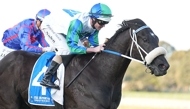 SHADOW ROLL PVC WOOL SS (WHT) – Racing Supplies